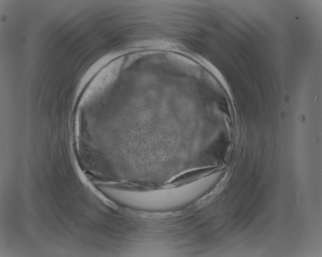 X0000081421389200702092123