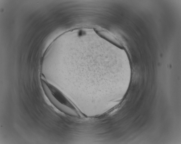 X0000081421390200702092123