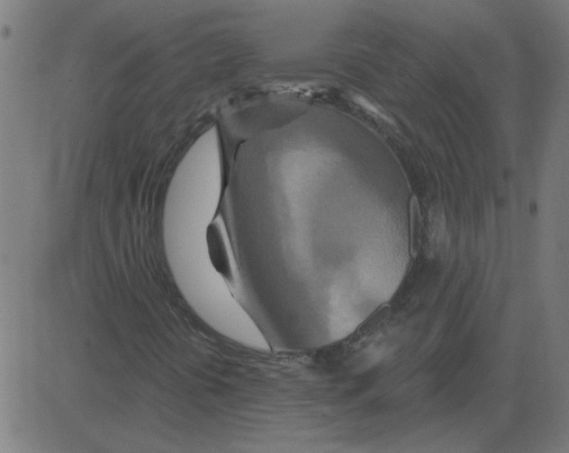 X0000081421394200702092122