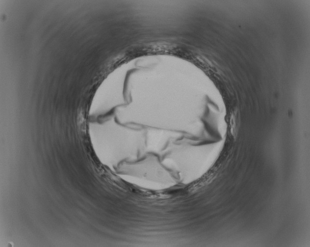 X0000081421395200702092122