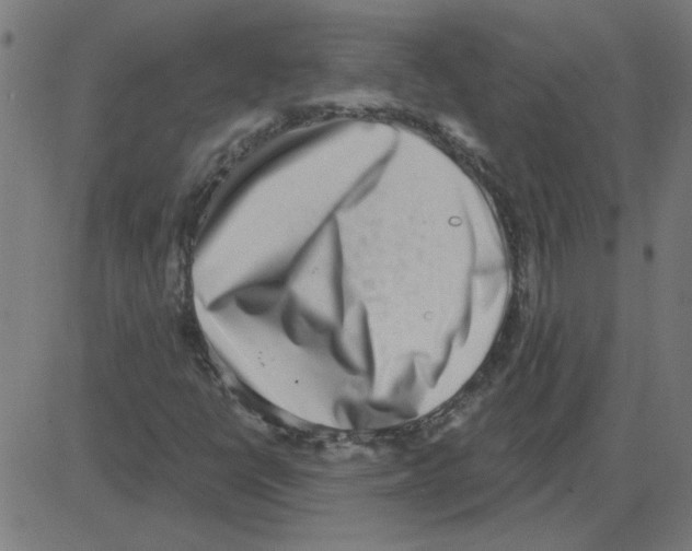 X0000081421398200702092122