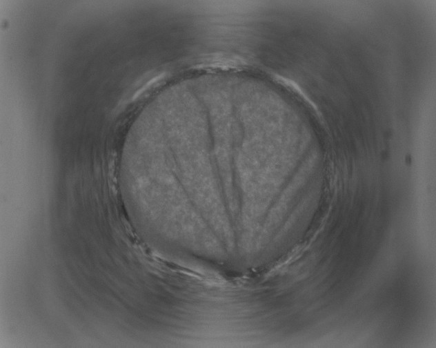 X0000081421399200702092122