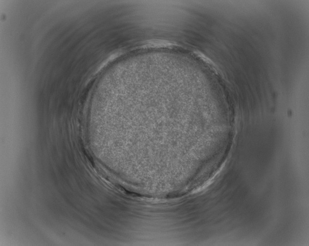 X0000081421401200702092122