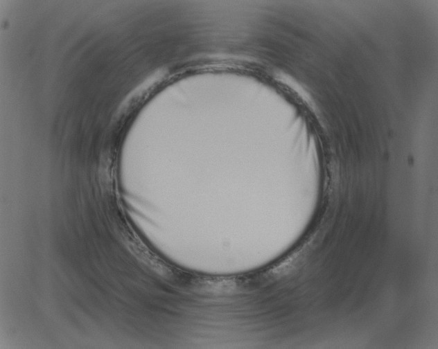 X0000081421403200702092122