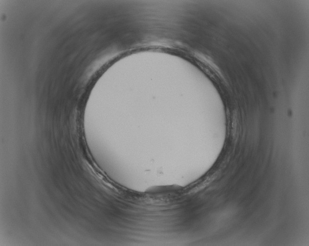 X0000081421404200702092122