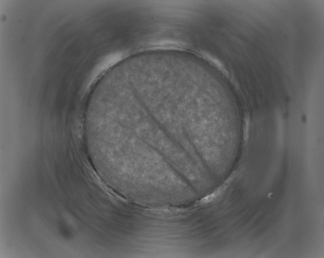 X0000081421405200702092122