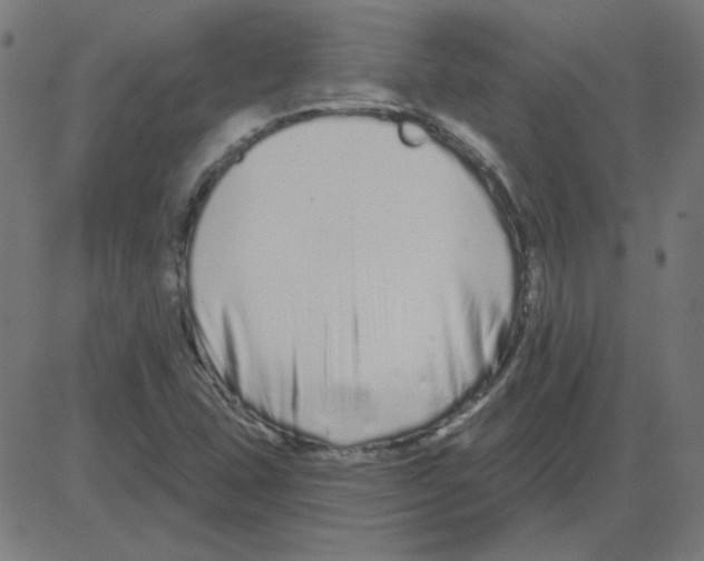 X0000081421407200702092122