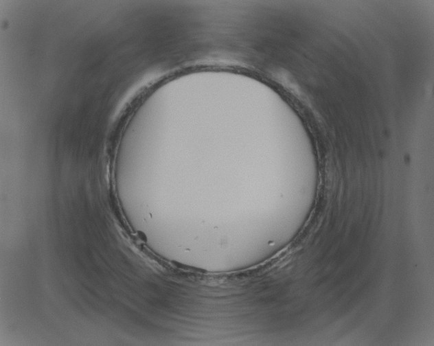 X0000081421408200702092122