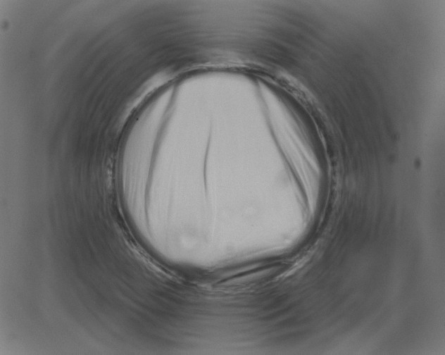 X0000081421409200702092122