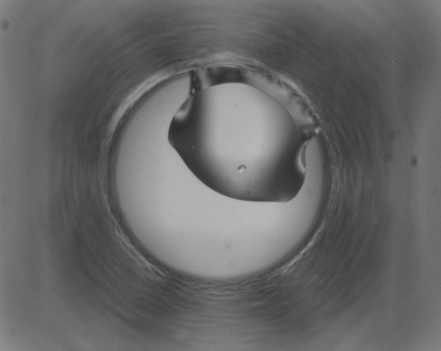 X0000081421410200702092122