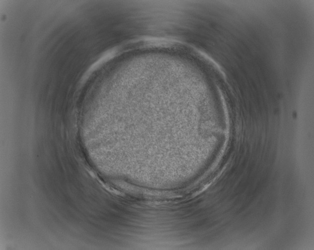 X0000081421411200702092122