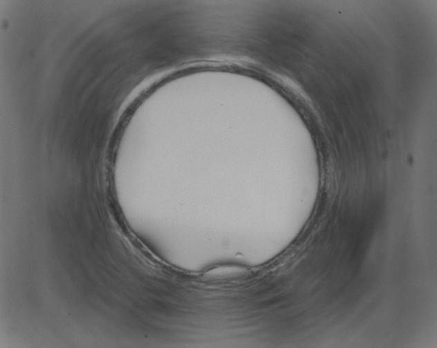 X0000081421412200702092122