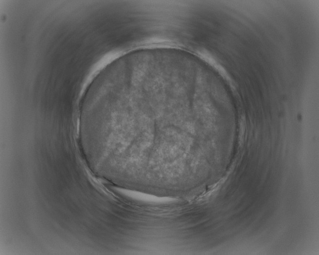 X0000081421413200702092122