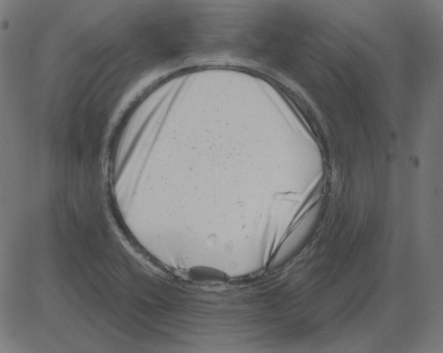 X0000081421416200702092122