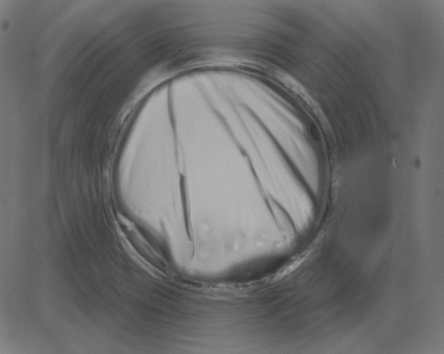 X0000081421417200702092122