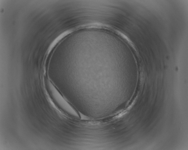 X0000081421418200702092122