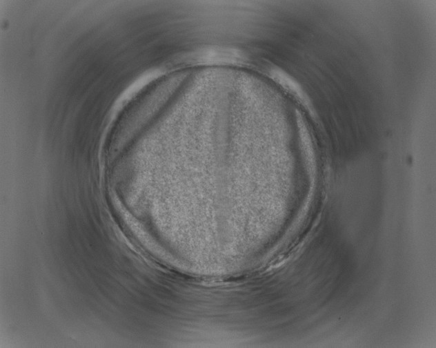 X0000081421419200702092122