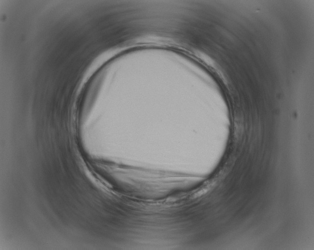 X0000081421421200702092122