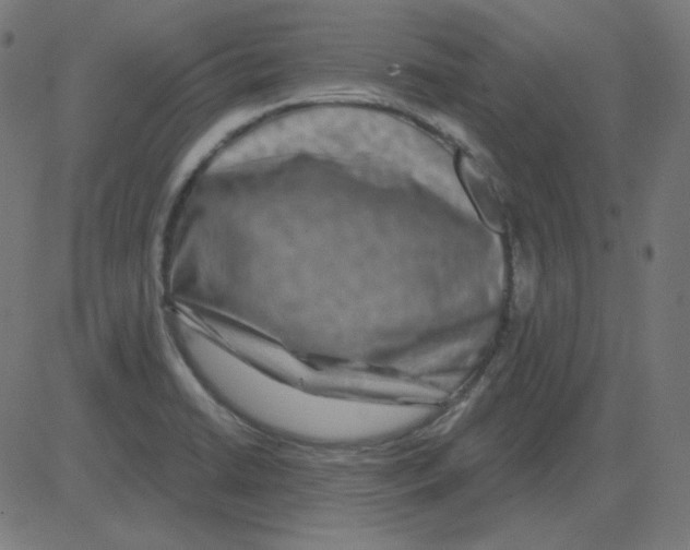 X0000081421422200702092122