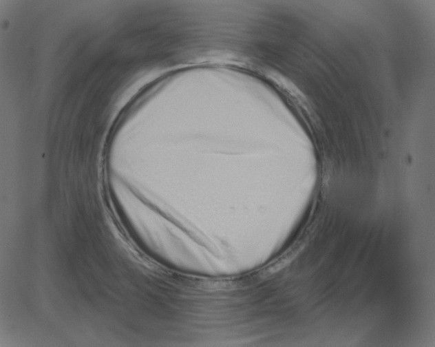 X0000081421423200702092122