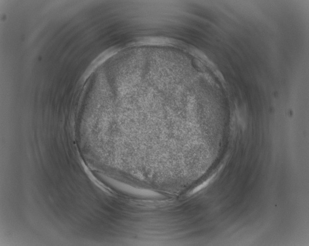 X0000081421425200702092122