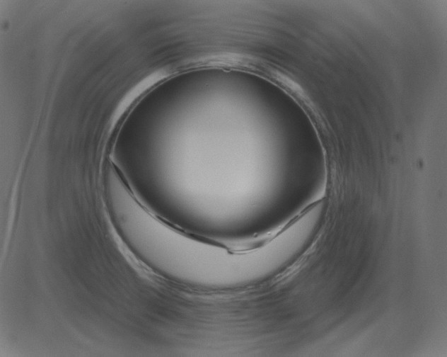 X0000081421426200702092122