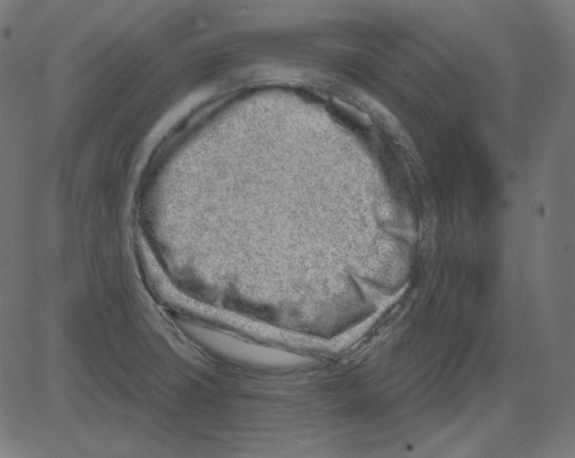 X0000081421427200702092122