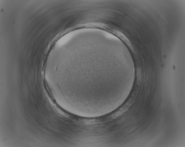 X0000081421428200702092122