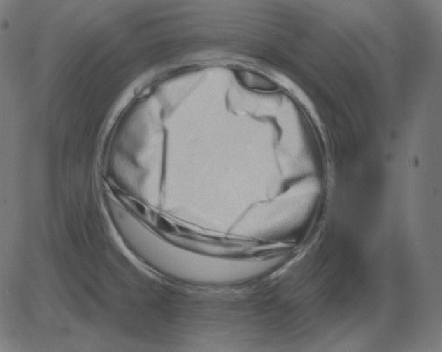 X0000081421429200702092122