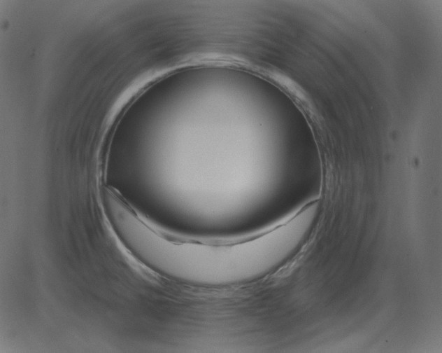 X0000081421430200702092122