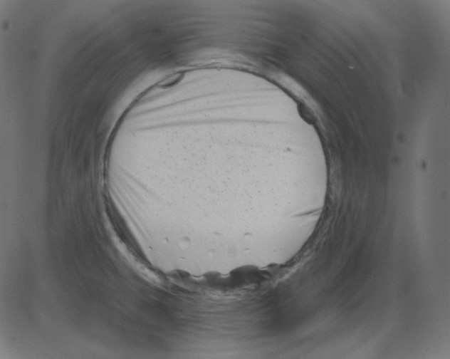 X0000081421431200702092122