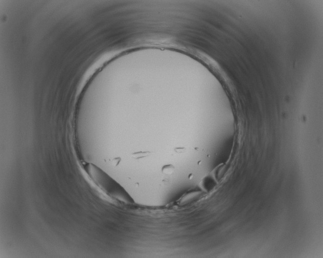 X0000081421432200702092122