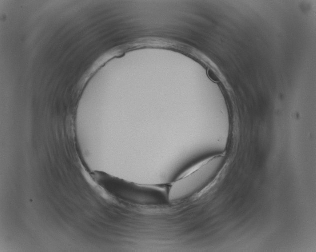 X0000081421433200702092122