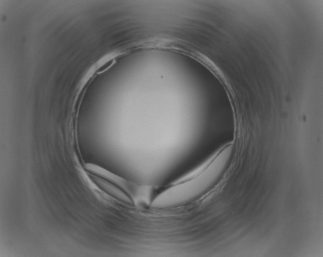 X0000081421434200702092123