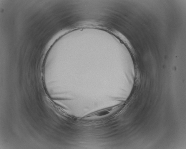 X0000081421435200702092123