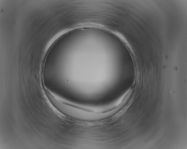 X0000081421438200702092123