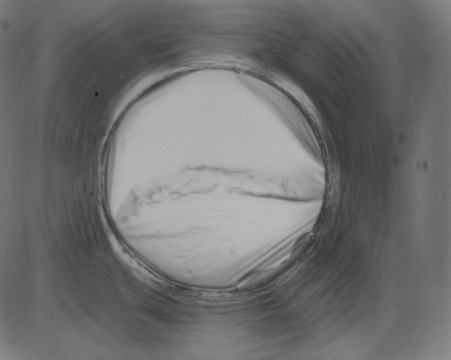 X0000081421439200702092123