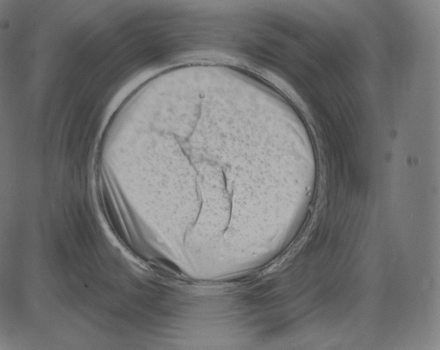 X0000081421440200702092123