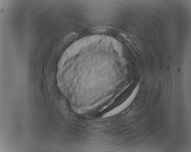 X0000081421441200702092122