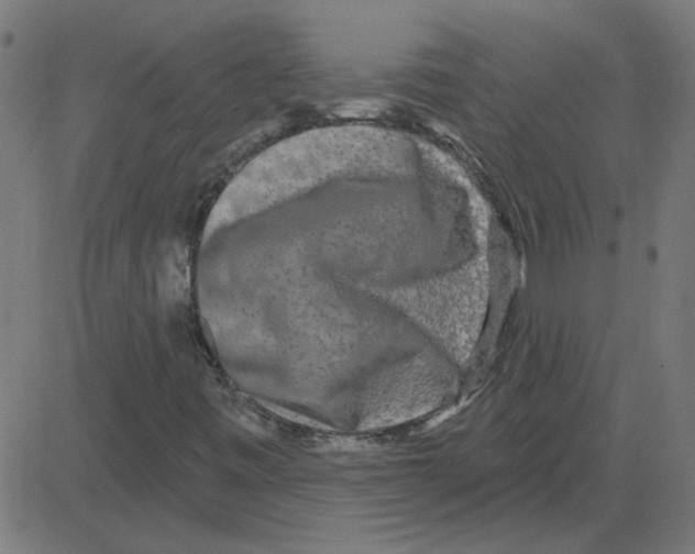 X0000081421443200702092122