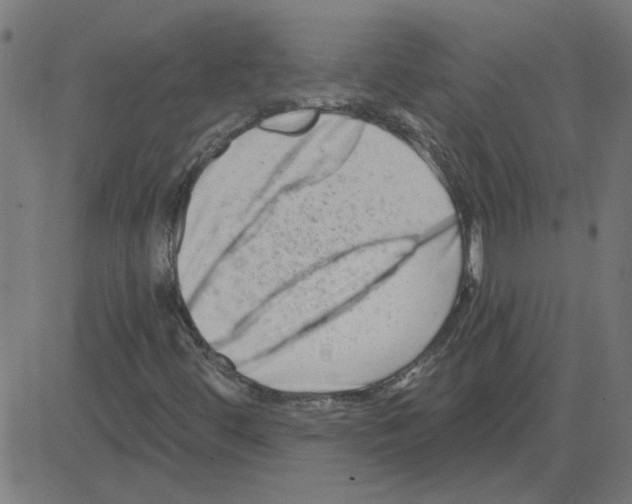 X0000081421444200702092122