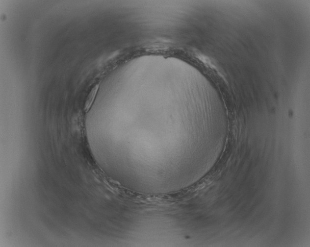 X0000081421445200702092122