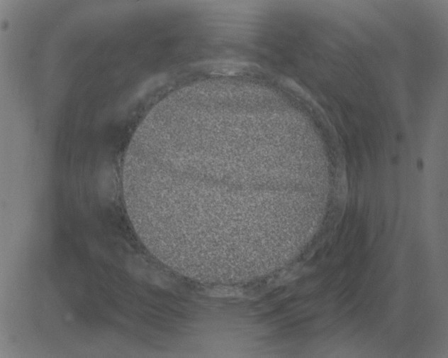 X0000081421446200702092122