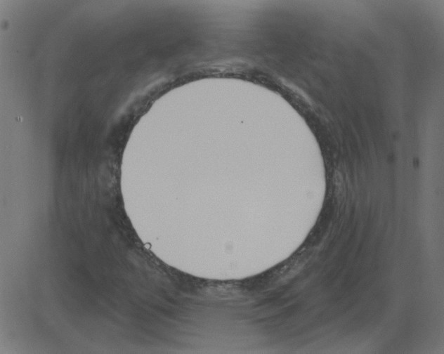 X0000081421447200702092122