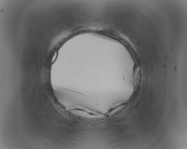 X0000081421448200702092122