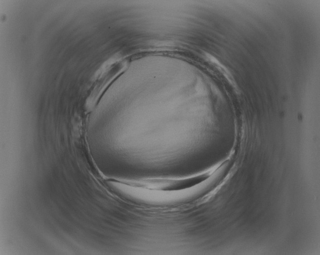 X0000081421449200702092122