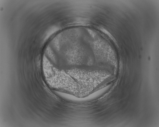 X0000081421450200702092122