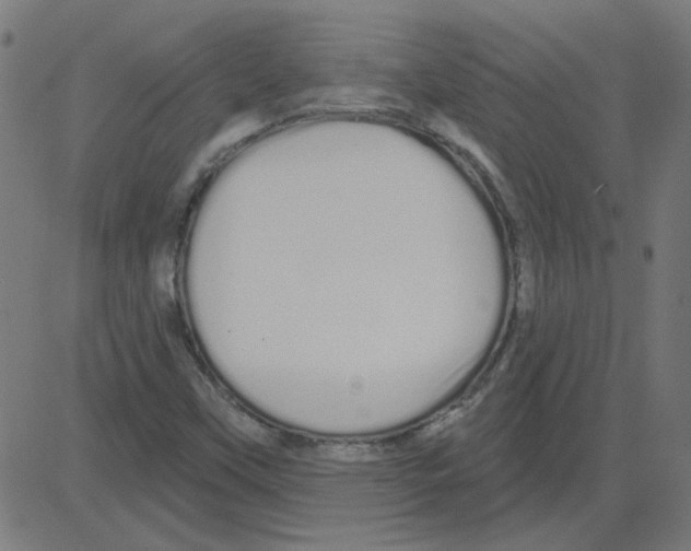 X0000081421451200702092122