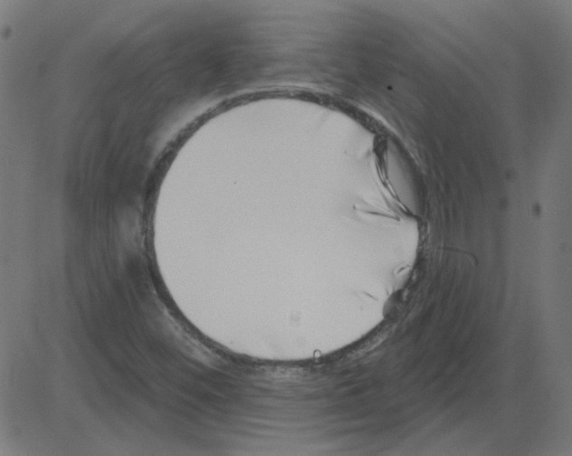 X0000081421452200702092122