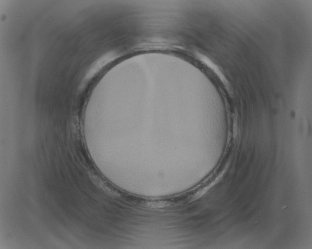 X0000081421453200702092122